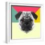 Party Pug-Lisa Kroll-Framed Art Print