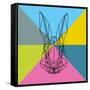 Party Rabbit-Lisa Kroll-Framed Stretched Canvas