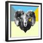 Party Ram-Lisa Kroll-Framed Art Print