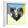 Party Ram-Lisa Kroll-Framed Art Print