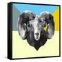 Party Ram-Lisa Kroll-Framed Stretched Canvas