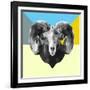 Party Ram-Lisa Kroll-Framed Art Print