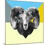 Party Ram-Lisa Kroll-Mounted Art Print