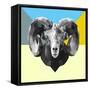 Party Ram-Lisa Kroll-Framed Stretched Canvas