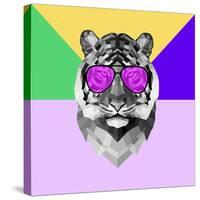 Party Tiger in Glasses-Lisa Kroll-Stretched Canvas