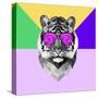 Party Tiger in Glasses-Lisa Kroll-Stretched Canvas