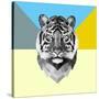 Party Tiger-Lisa Kroll-Stretched Canvas