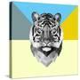 Party Tiger-Lisa Kroll-Stretched Canvas