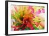 Party Time-Heidi Westum-Framed Photographic Print