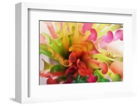 Party Time-Heidi Westum-Framed Photographic Print