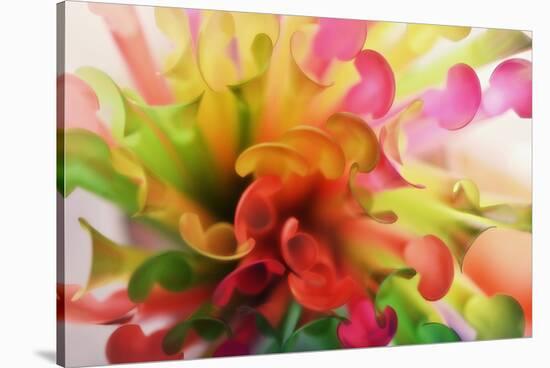 Party Time-Heidi Westum-Stretched Canvas