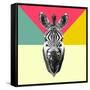 Party Zebra Head-NaxArt-Framed Stretched Canvas