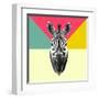 Party Zebra Head-NaxArt-Framed Art Print