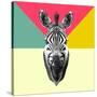 Party Zebra Head-NaxArt-Stretched Canvas