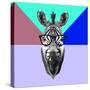 Party Zebra in Glasses-Lisa Kroll-Stretched Canvas