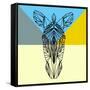 Party Zebra-Lisa Kroll-Framed Stretched Canvas