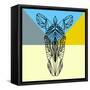 Party Zebra-Lisa Kroll-Framed Stretched Canvas