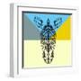 Party Zebra-Lisa Kroll-Framed Art Print