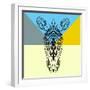 Party Zebra-Lisa Kroll-Framed Art Print