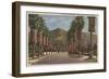 Pasadena, CA - Residental Street Scene & Palms-Lantern Press-Framed Art Print