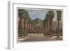 Pasadena, CA - Residental Street Scene & Palms-Lantern Press-Framed Art Print