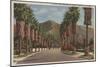 Pasadena, CA - Residental Street Scene & Palms-Lantern Press-Mounted Art Print