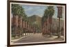 Pasadena, CA - Residental Street Scene & Palms-Lantern Press-Framed Art Print