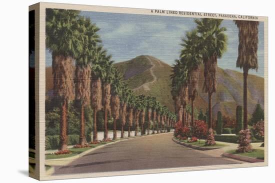 Pasadena, CA - Residental Street Scene & Palms-Lantern Press-Stretched Canvas