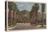 Pasadena, CA - Residental Street Scene & Palms-Lantern Press-Stretched Canvas