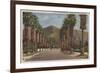 Pasadena, CA - Residental Street Scene & Palms-Lantern Press-Framed Art Print