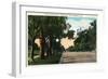 Pasadena, California - Millionaire Row, Orange Grove Avenue-Lantern Press-Framed Art Print