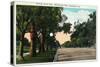 Pasadena, California - Millionaire Row, Orange Grove Avenue-Lantern Press-Stretched Canvas