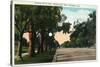 Pasadena, California - Millionaire Row, Orange Grove Avenue-Lantern Press-Stretched Canvas