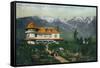 Pasadena, California - Picking Flowers Near Mount Wilson-Lantern Press-Framed Stretched Canvas