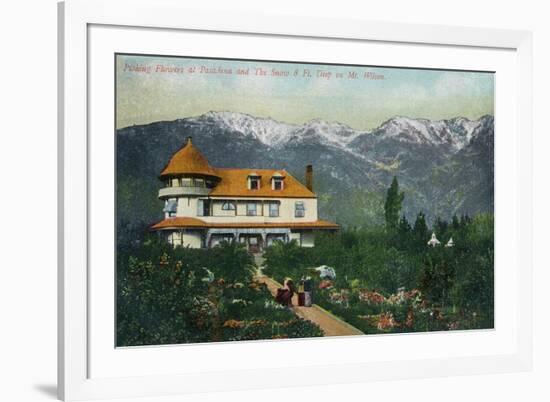 Pasadena, California - Picking Flowers Near Mount Wilson-Lantern Press-Framed Art Print