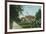 Pasadena, California - Scenic View Down Orange Grove Avenue-Lantern Press-Framed Art Print