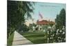 Pasadena, California - Scenic View Down Orange Grove Avenue-Lantern Press-Mounted Art Print