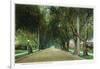 Pasadena, California - View Down Marengo Avenue-Lantern Press-Framed Art Print