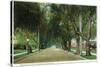 Pasadena, California - View Down Marengo Avenue-Lantern Press-Stretched Canvas