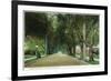 Pasadena, California - View Down Marengo Avenue-Lantern Press-Framed Premium Giclee Print