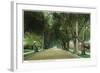 Pasadena, California - View Down Marengo Avenue-Lantern Press-Framed Art Print