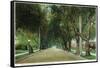 Pasadena, California - View Down Marengo Avenue-Lantern Press-Framed Stretched Canvas