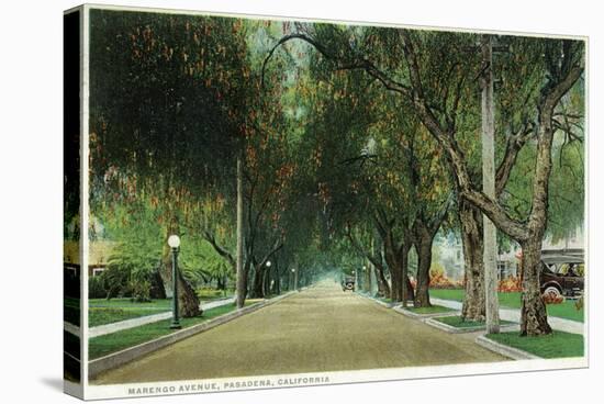 Pasadena, California - View Down Marengo Avenue-Lantern Press-Stretched Canvas