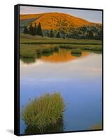 Pasayten Wilderness,Okanogan-Wenatchee National Forest, Washington,Usa-Charles Gurche-Framed Stretched Canvas