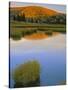 Pasayten Wilderness,Okanogan-Wenatchee National Forest, Washington,Usa-Charles Gurche-Stretched Canvas