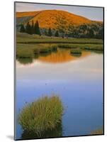 Pasayten Wilderness,Okanogan-Wenatchee National Forest, Washington,Usa-Charles Gurche-Mounted Photographic Print