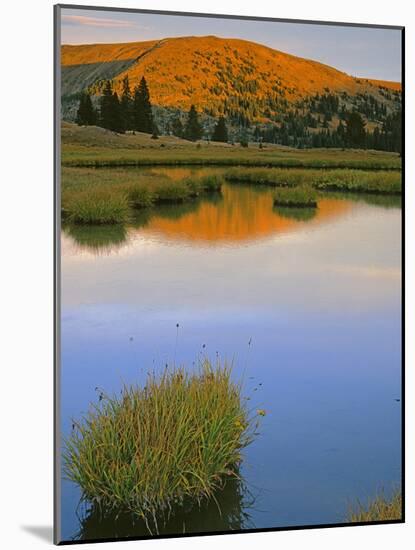 Pasayten Wilderness,Okanogan-Wenatchee National Forest, Washington,Usa-Charles Gurche-Mounted Photographic Print