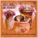 Pots bastide rose-Pascal Cessou-Art Print