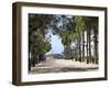 Paseo de La Princesa (Walkway of Princess), Old San Juan, San Juan, Puerto Rico, West Indies, USA-Wendy Connett-Framed Photographic Print