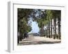 Paseo de La Princesa (Walkway of Princess), Old San Juan, San Juan, Puerto Rico, West Indies, USA-Wendy Connett-Framed Photographic Print